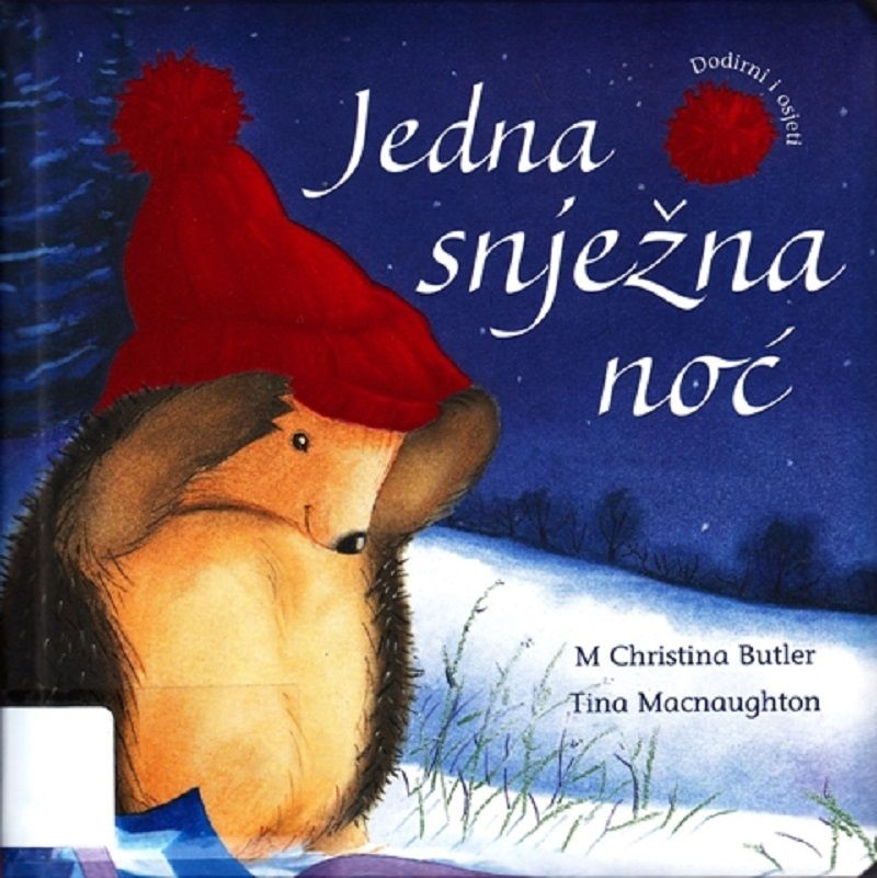 jedna_snjezna_noc.jpg
